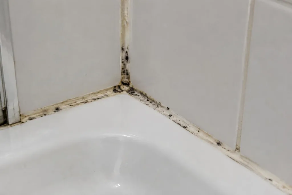 Kitbedrijf Dalfsen – beschimmelde kitranden
